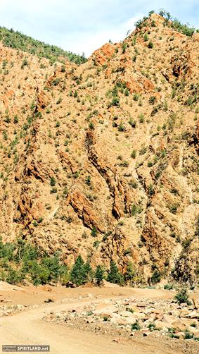 Flinders Range NP, SA. 